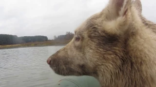 Я Тунгус и ЗСЛ  Лайма на моторке идем.