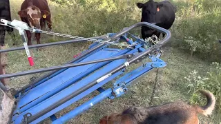 Installing a Priefert H91 head gate with the help of a come along.