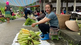 Raise red carp, harvest sweet corn to go to the market to sell. garden