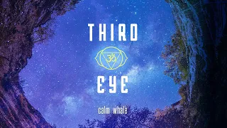 Third Eye Shaman - Transcend Duality - Shaman Drum & RAV Meditation Ajna Chakra | Calm Whale