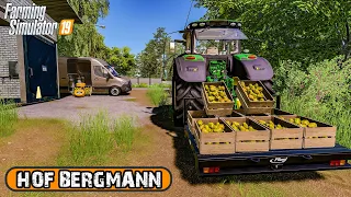 Making APPLE JUICE, Cheese & Bread Production | Hof Bergmann| Farming Simulator 2019 timelapse #2