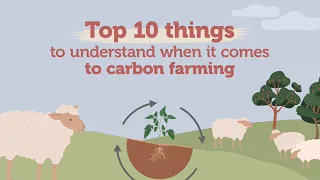 TOP 10 things to understand when it comes to Carbon Farming
