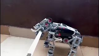 Elephant Bot