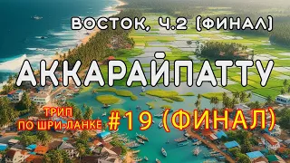 Аккарайпатту. Восток Шри-Ланки, часть 2 (финал). Трип по Шри-Ланке #19 (финал)