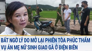 Bất ngờ lý do mở lại phiên tòa phúc thẩm vụ án mẹ nữ sinh giao gà ở Điện Biên