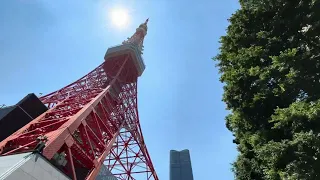 Tokyo Tower as seen from Skybus Tokyo 🚌