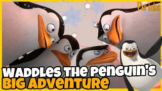 Waddles the Penguin's Big Adventure : Bedtime Stories for Kids in English