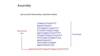 MCB 182 Lecture 3.1 - Genome assembly - Overview