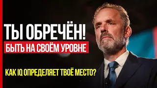 Почему ты не можешь достичь успеха? ВЛИЯНИЕ УРОВНЯ IQ НА ЖИЗНЬ. // МОТИВАТОР — Джордан Питерсон