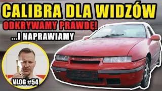 Calibra dla widzów - odkrywamy prawdę... - | CALIBRA DLA WIDZÓW #3 |