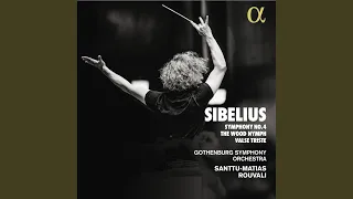 Symphony No. 4 in A Minor, Op. 63: IV. Allegro