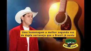 Leandro & Leonardo - Onde foi que eu errei (Música gravada na primeira voz por Leandro) Legendado