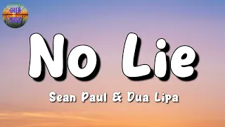 🎵 Sean Paul, Dua Lipa - No Lie || Sia, Troye Sivan, Miley Cyrus (Mix Lyrics)