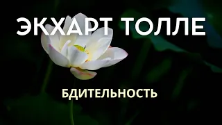 Бдительность - ЭКХАРТ ТОЛЛЕ [Nikosho]