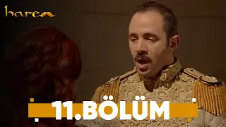 Harem - 11. Bölüm