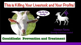 This is Costing You Money and Killing Your Livestock!  Coccidia and What You Need to Know Now!