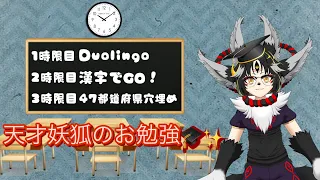 【お勉強】国語・地理・英語を頑張る妖狐【妖狐/Vtuber/人外】