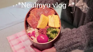 ENG) VLOG What i eat in a week living alone /  Tonkatsu Lunch Box and Brie Cheese Pasta Bento Vlog 🍱