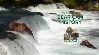 On This Day In Bear Cam History | First Bear Cam Highlight Ever Posted
