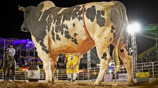 FINAL EM TOUROS - Rodeio da Expo GUAPI 2024 / Guapirama - PR