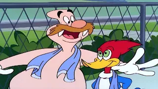 Woody and Wally share a hobby! | Woody Woodpecker