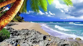 Насладись видом тропического моря Sceensaver Full HD 1080p