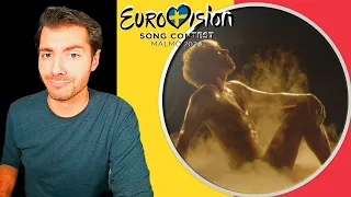 Belgium Eurovision 2024 Mustii "Before the party's over" Reaction + Análisis (english subtitles)