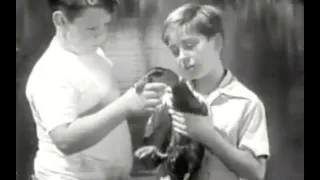 Lassie S02E09 - The Wild Duck (1955)