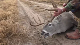 Whitetail Buck Survives 7mm mag Round To The NECK!!!