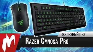 Два в одном – Игровой набор Razer Cynosa Pro – Железный цех – Игромания