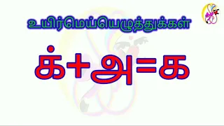 உயிர்மெய்யெழுத்துக்கள் க,ங,ச,ஞ,ட,ண,த,ந,ப,ம,ய,ர,ல,வ,ழ,ள,ற,ன