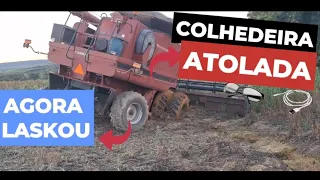 A COLHEDEIRA ATOLOU