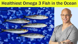 Heart Healthy/Prevent Clogged Arteries...BEST Omega 3 Fish in the Ocean - Dr Mandell