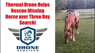 Horse missing four days rescued with help from Thermal Drone! DJI Mavic 3T FAA Part 107 Pilot SAR