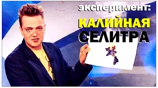 Галилео. Эксперимент. Калийная селитра