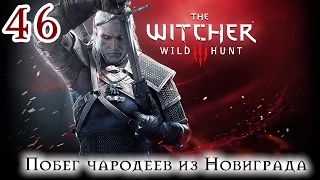 Прохождение The Witcher 3: Wild Hunt: Серия #46 - Побег чародеев из Новиграда