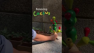 How well can you balance me? - PlanToys Balancing Cactus