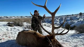 Once in a Lifetime Montana Elk Hunt