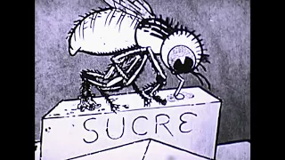 Guerre aux Mouches / War on Flies (c. 1918)