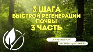 🍇3 Шага к быстрой регенерации почвы Часть 3: Внесение микробов под сельскохозяйственные культуры