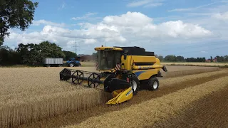 Weizen Ernte 2023 | New Holland CSX 7040