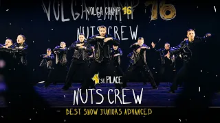 VOLGA CHAMP XVI | BEST SHOW JUNIORS advanced | 1st place | NUTS CREW