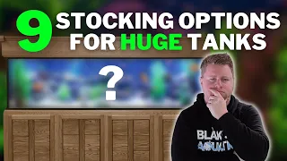 9 Options to stock your LARGE aquarium - Fish Stocking Ideas for 125, 150, 200 gallon tanks and up