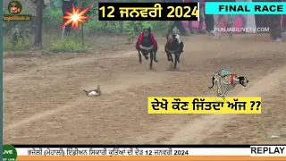 12 ਜਨਵਰੀ 2024🏆[[ FINAL RACE ]]🏆 ਪਿੰਡ - ਭਜੋਲੀ (ਮੋਹਾਲੀ) 💪ਇੰਡੀਅਨ ਸ਼ਿਕਾਰੀ ਕੁੱਤਿਆਂ🦮 ਦੀ ਦੌੜ | #finalrace