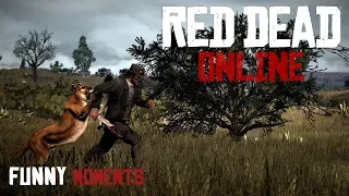 Red Dead Online - Приколы, Фейлы, Смешные моменты | Funny Moments Red Dead Redemption 2 на PC