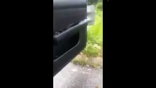 Monkey steals red pocket on the car