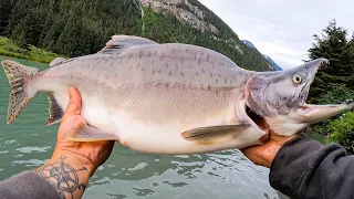 CRAZY LOOKING ALASKAN SALMON | Catch and Cook in Bushcraft Smoker