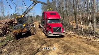 A day in the live of a log trucker #logtruck