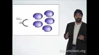 Harmit Malik (FHCRC/HHMI) Part 2: Molecular arms races - Viral evolution