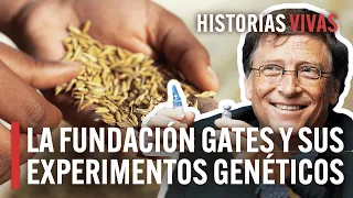 ¿Bill Gates financia experimentos genéticos ilegales en África? | Historias Vivas | HD Documental